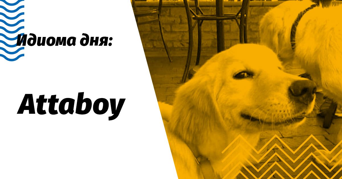 attaboy значение и перевод идиомы