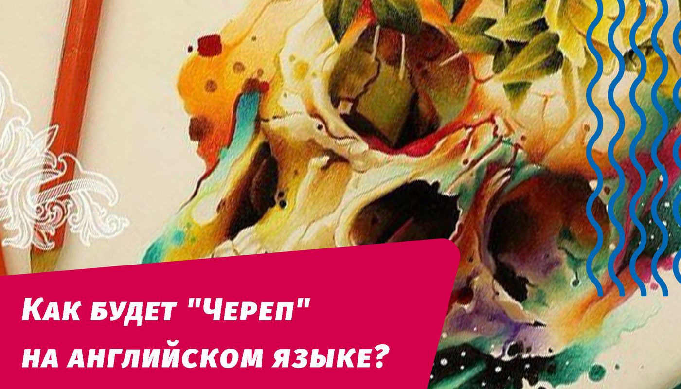 как будет череп на английском языке