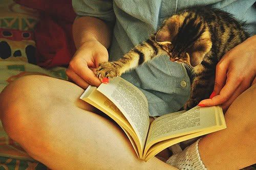 книга на английском