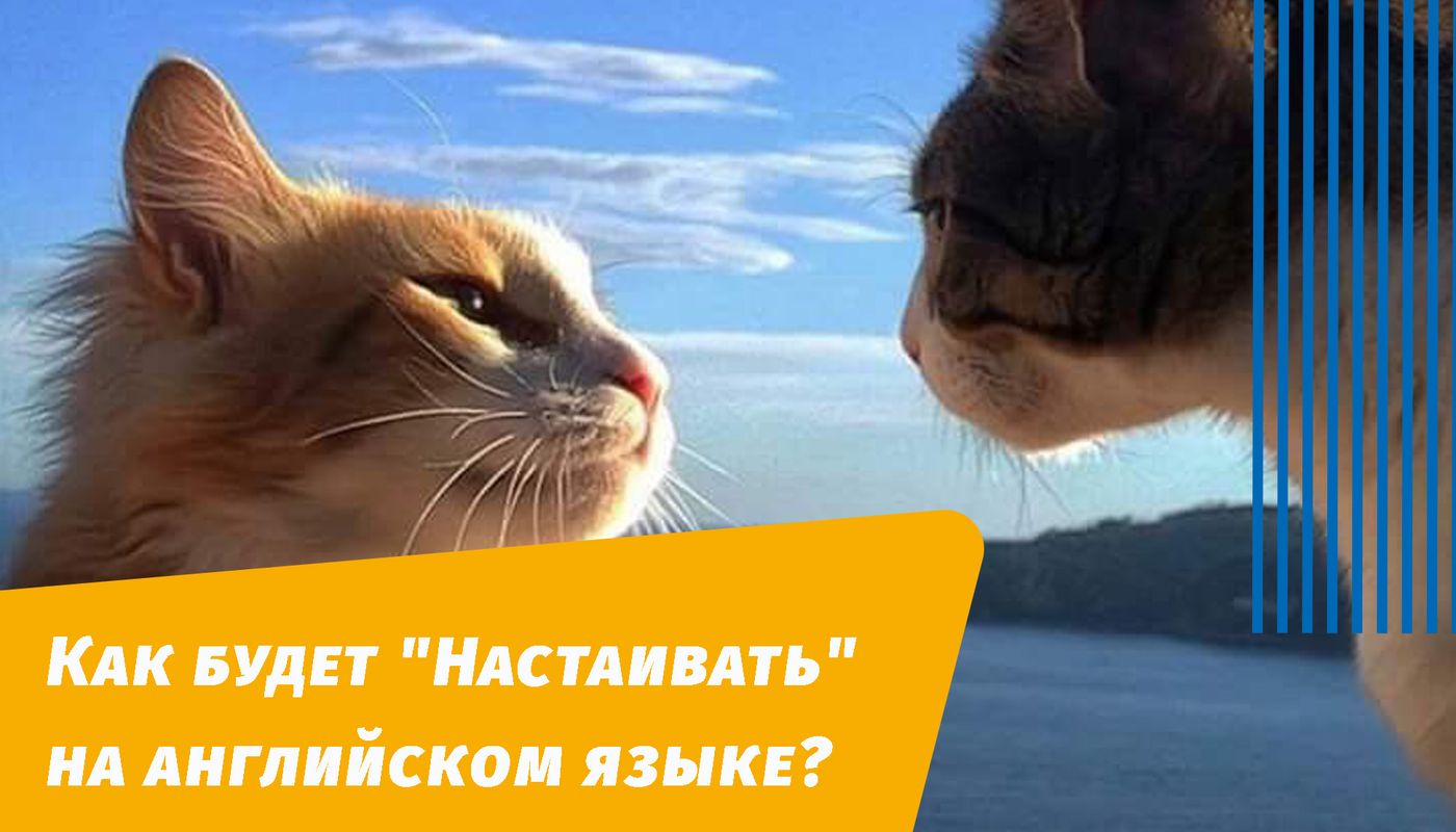 як наполягатиме англійською