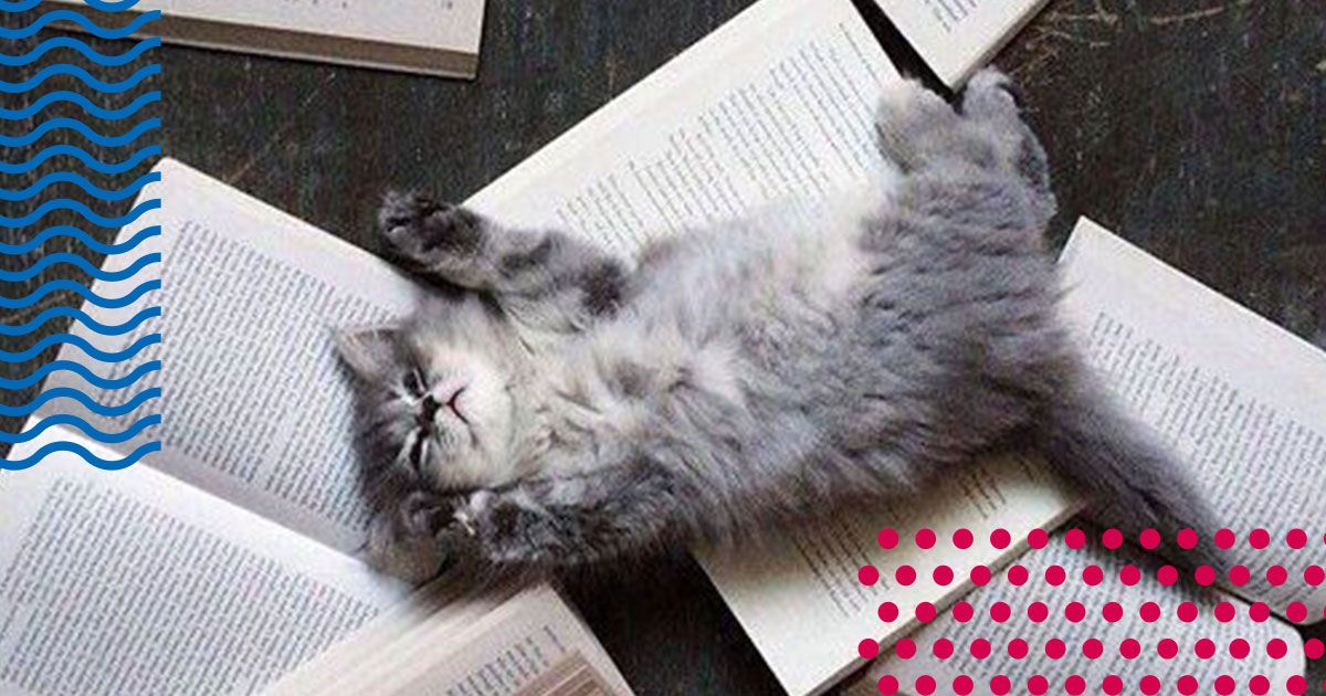 лексика на английском на тему книги