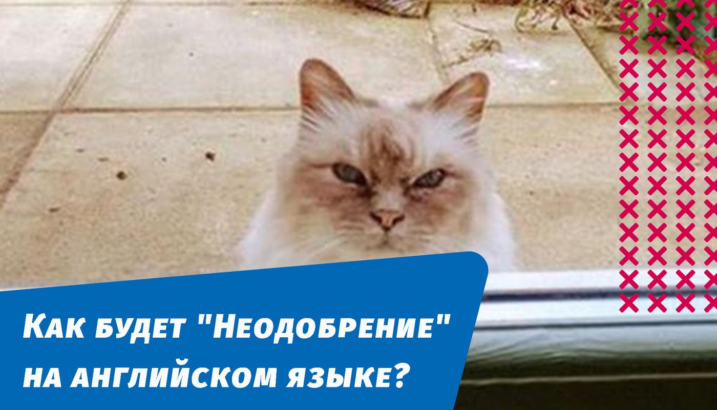как будет неодобрение на английском языке