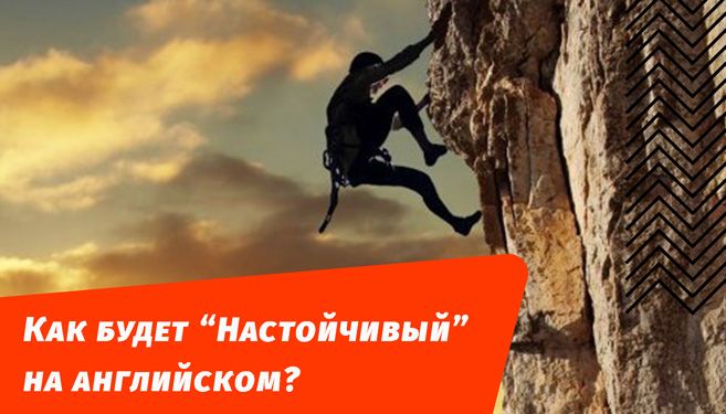 как будет настойчивый на английском