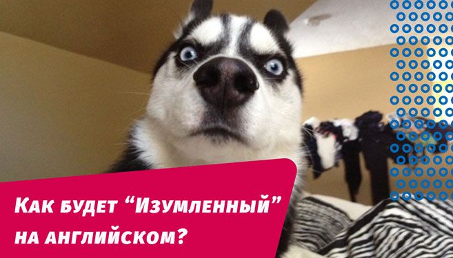 як буде здивований англійською мовою