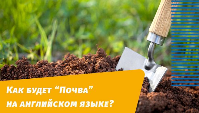як буде грунт англійською
