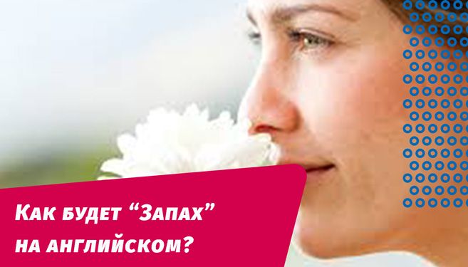 як буде запах англійською