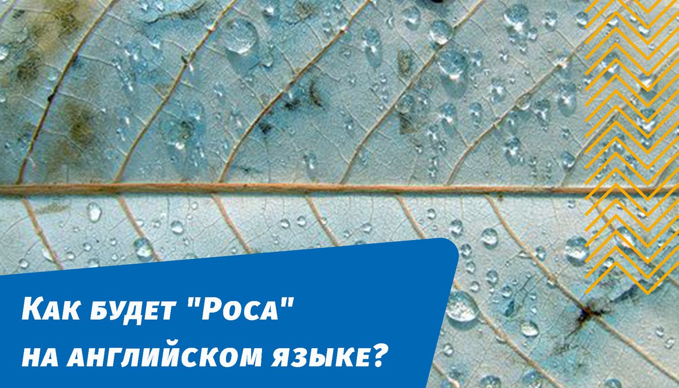 как будет роса на английском языке