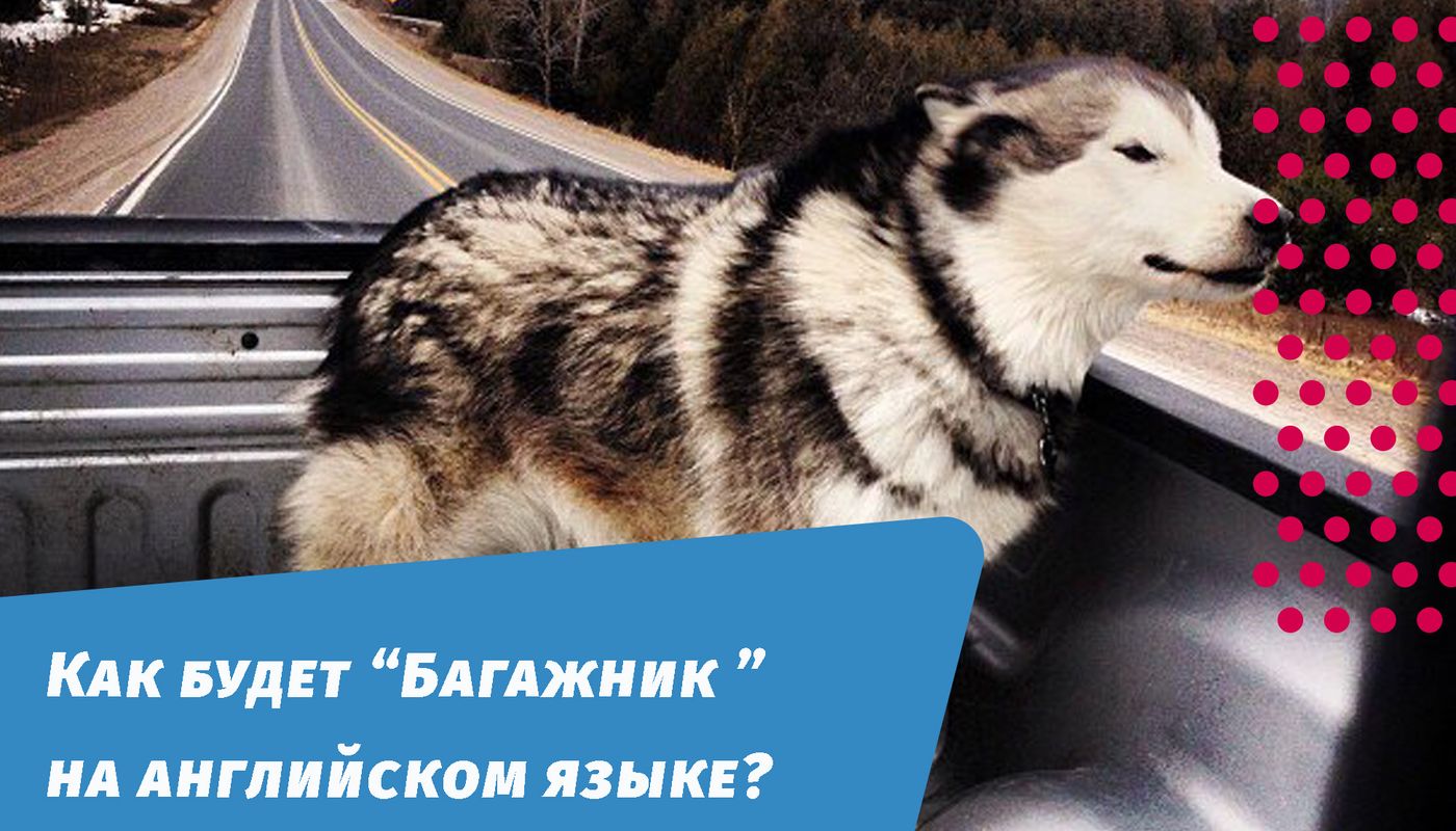 как будет багажник на английском языке