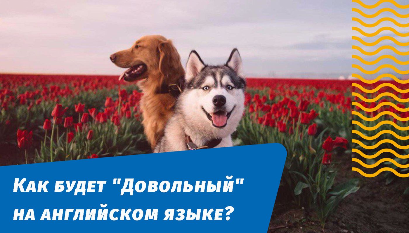 як буде задоволений англійською