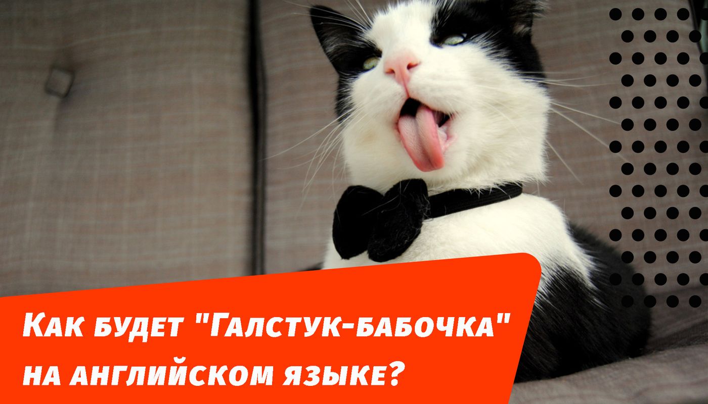 галстук-бабочка на английском