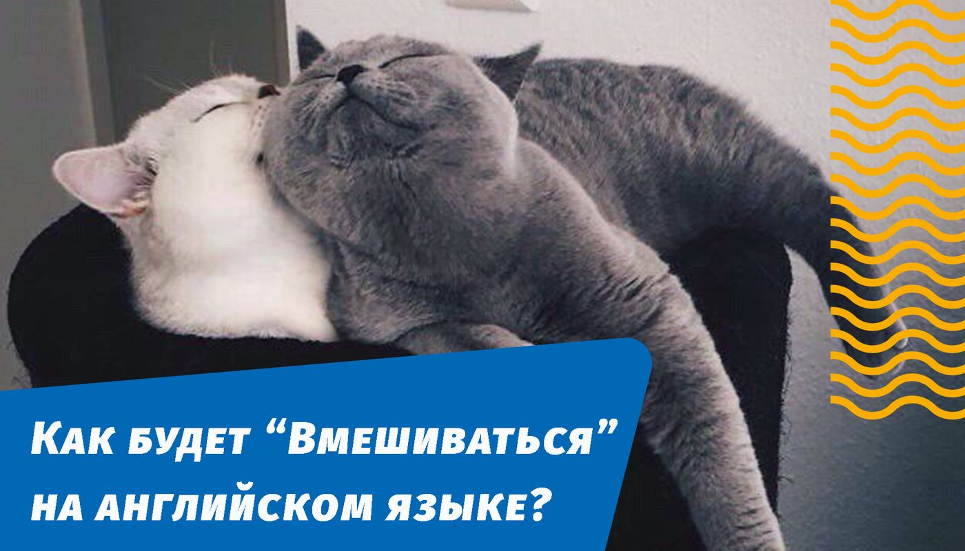 как будет вмешиваться на английском языке