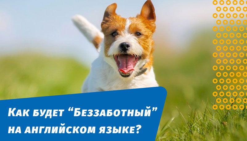 як буде безтурботний англійською