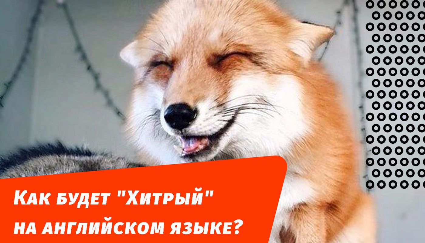 как будет хитрый на английском