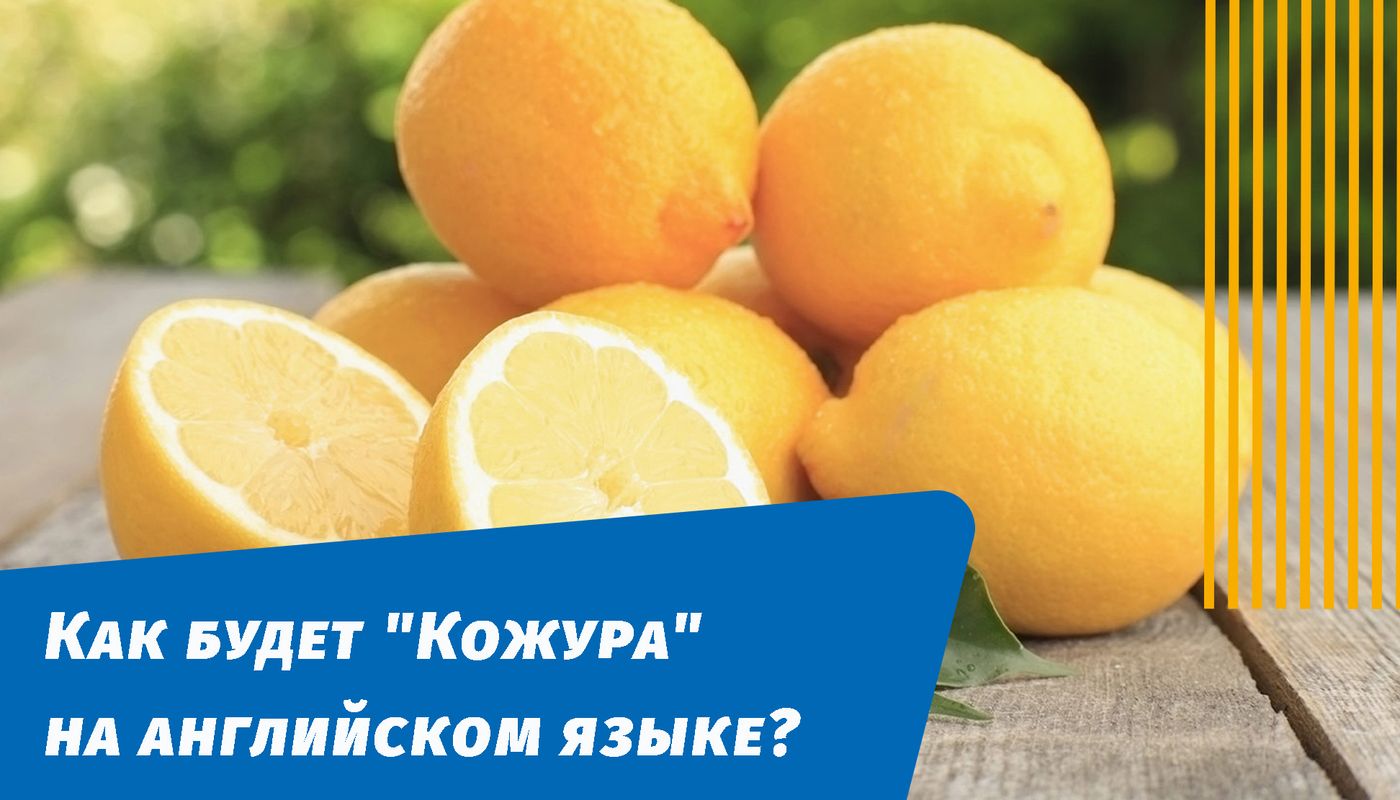 як буде шкірка англійською