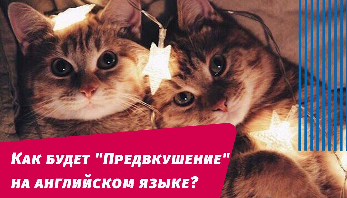как будет предвкушение на английском
