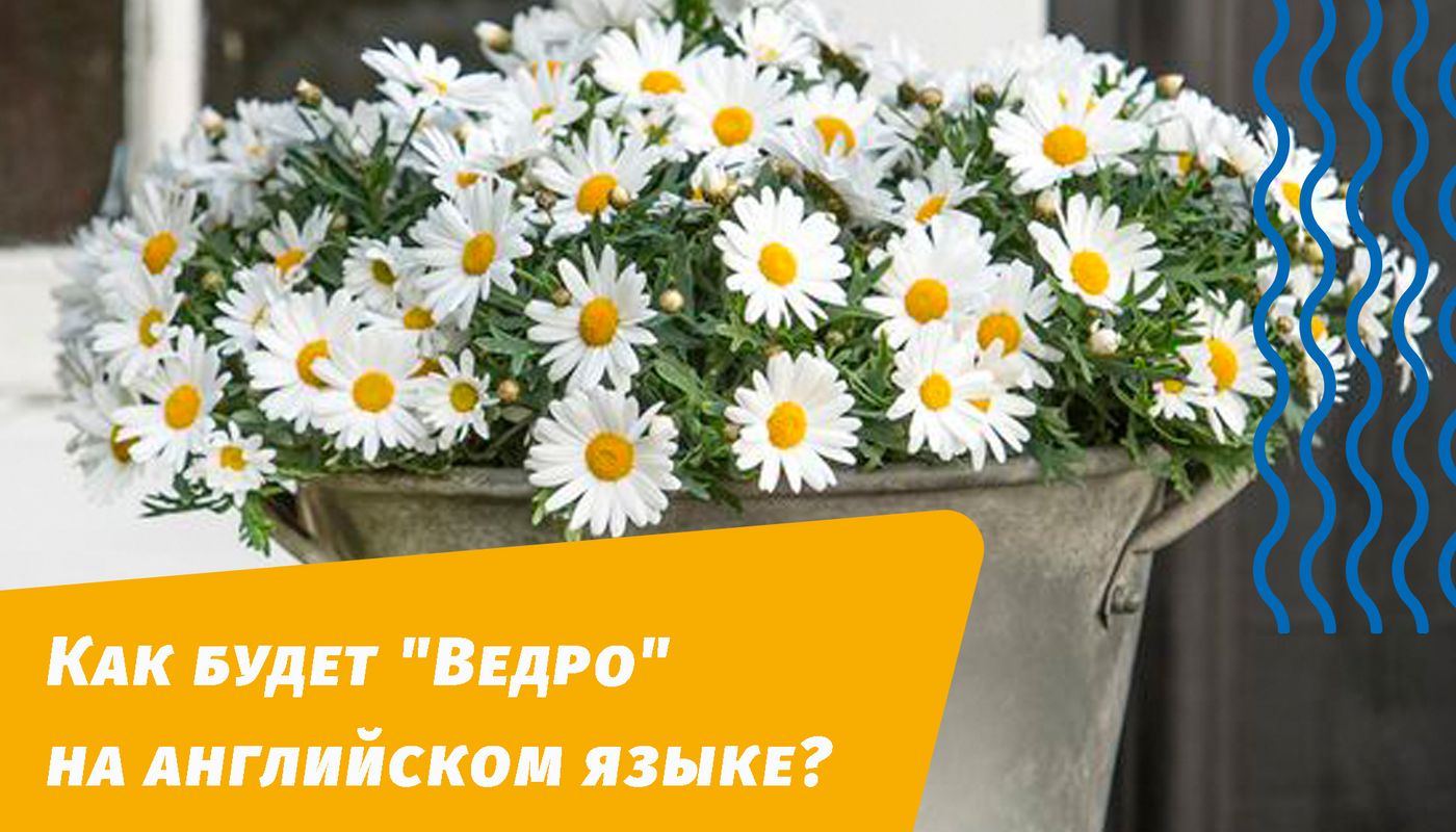 как будет ведро на английском языке