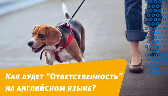 как будет ответственность на английском языке