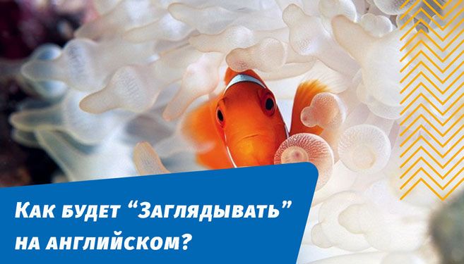 як заглядатиме англійською мовою