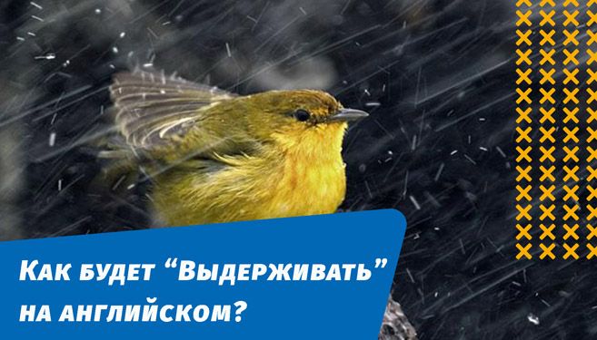 як витримуватиме англійською мовою