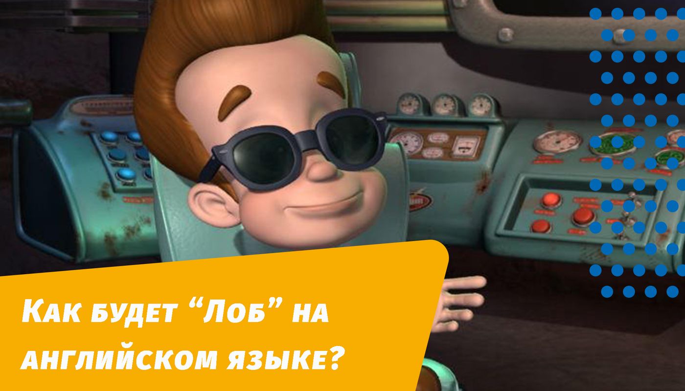 как будет лоб на английском языке