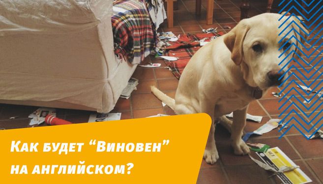 як винен англійською