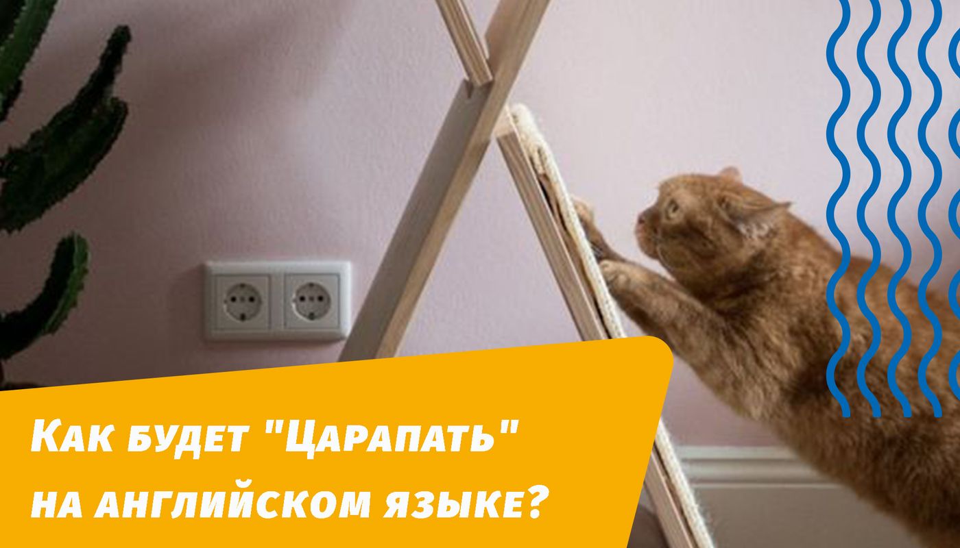 як дряпатиме англійською мовою