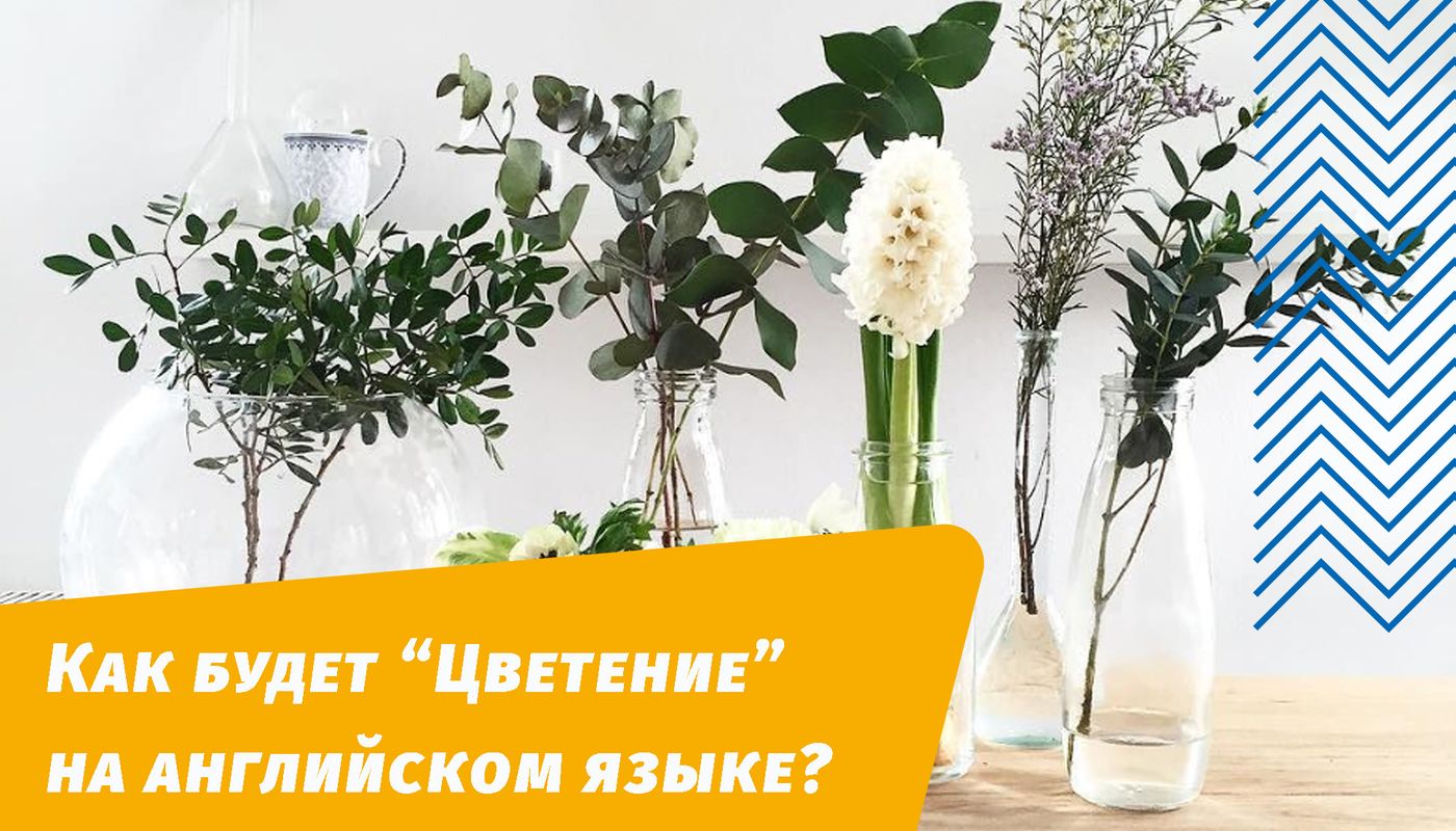 как будет цветение на английском