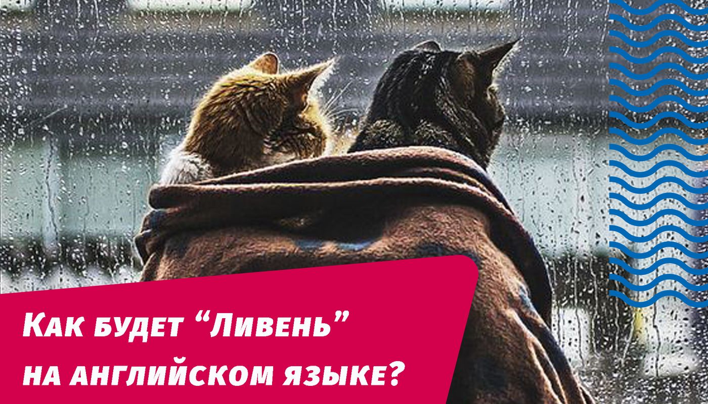 как будет ливень на английском