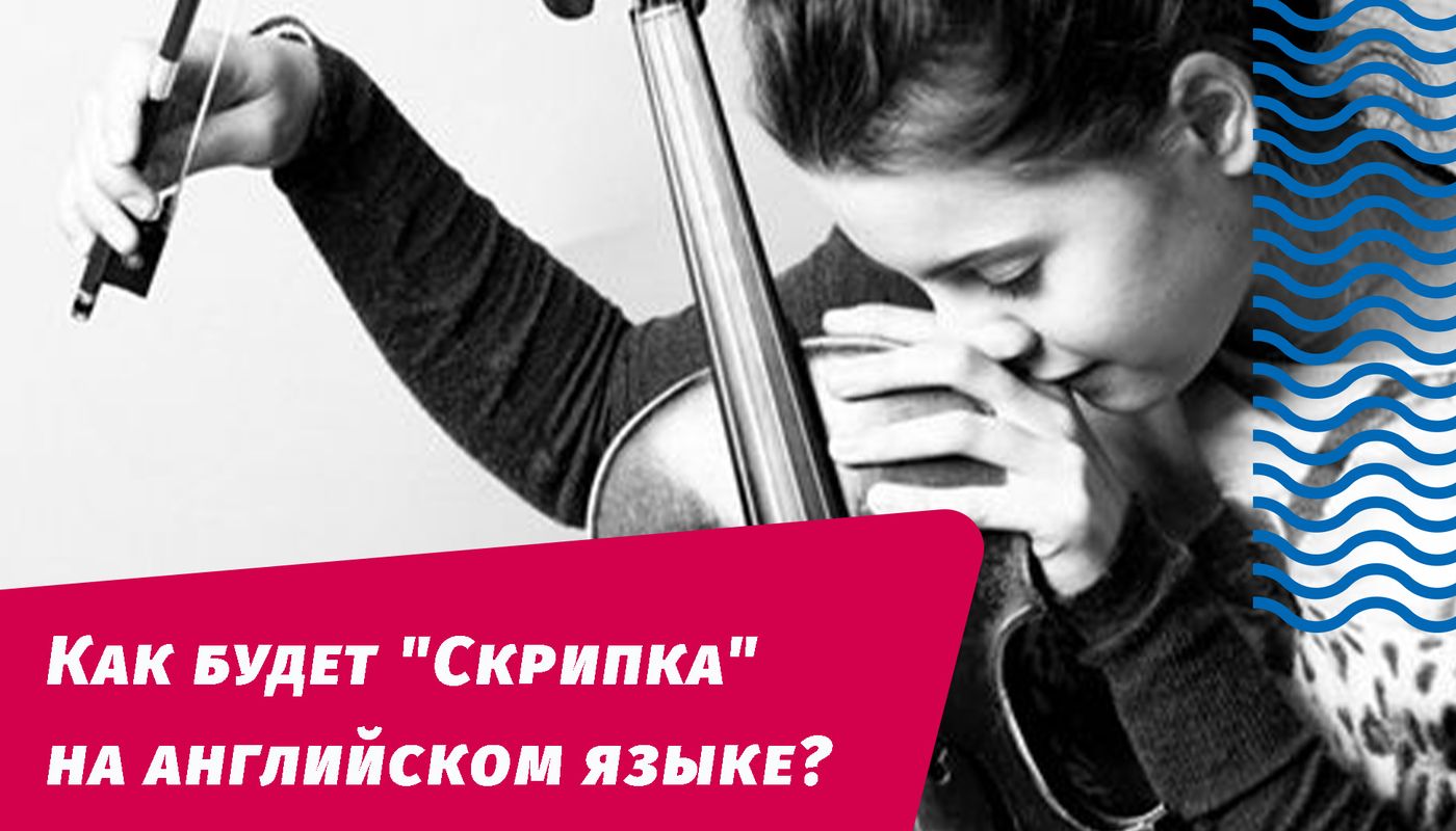 как будет скрипка на английском языке