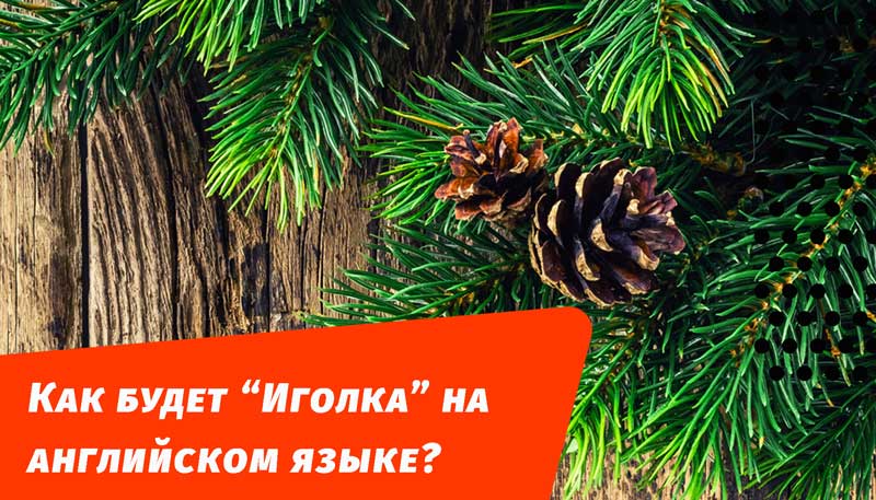 як буде голка англійською