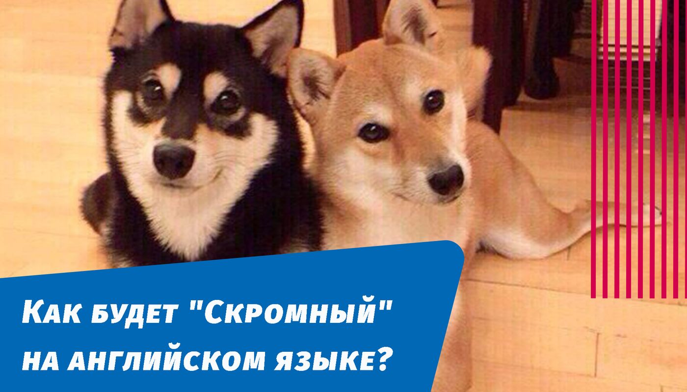 как будет скромный на английском языке