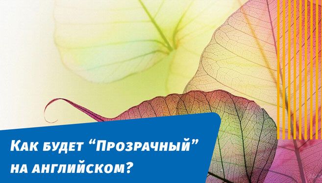 як буде прозорий англійською