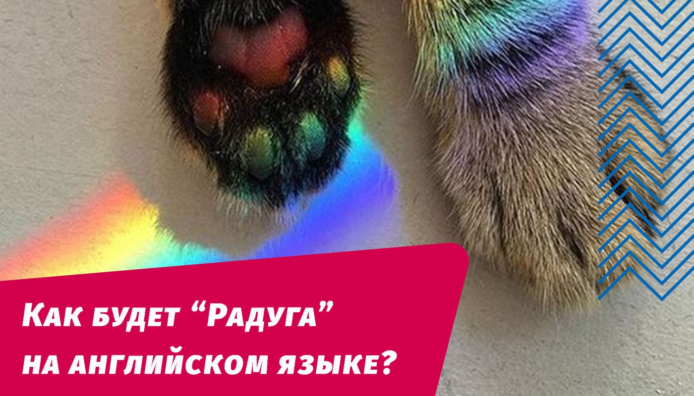 як буде веселка англійською