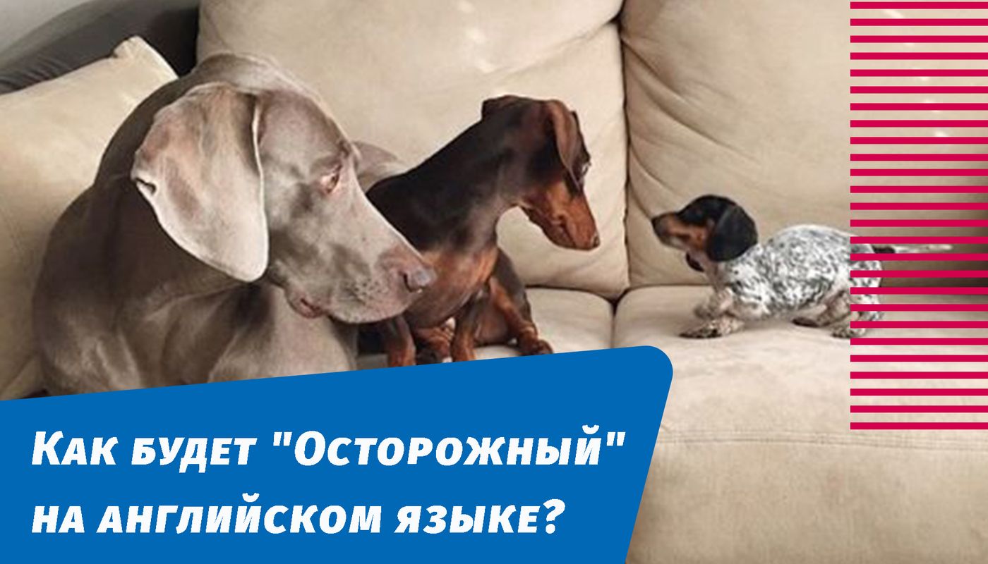 как будет осторожный на английском языке