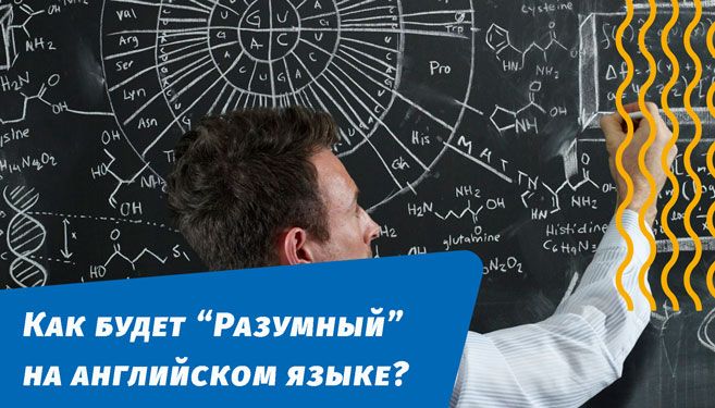 как будет разумный на английском языке