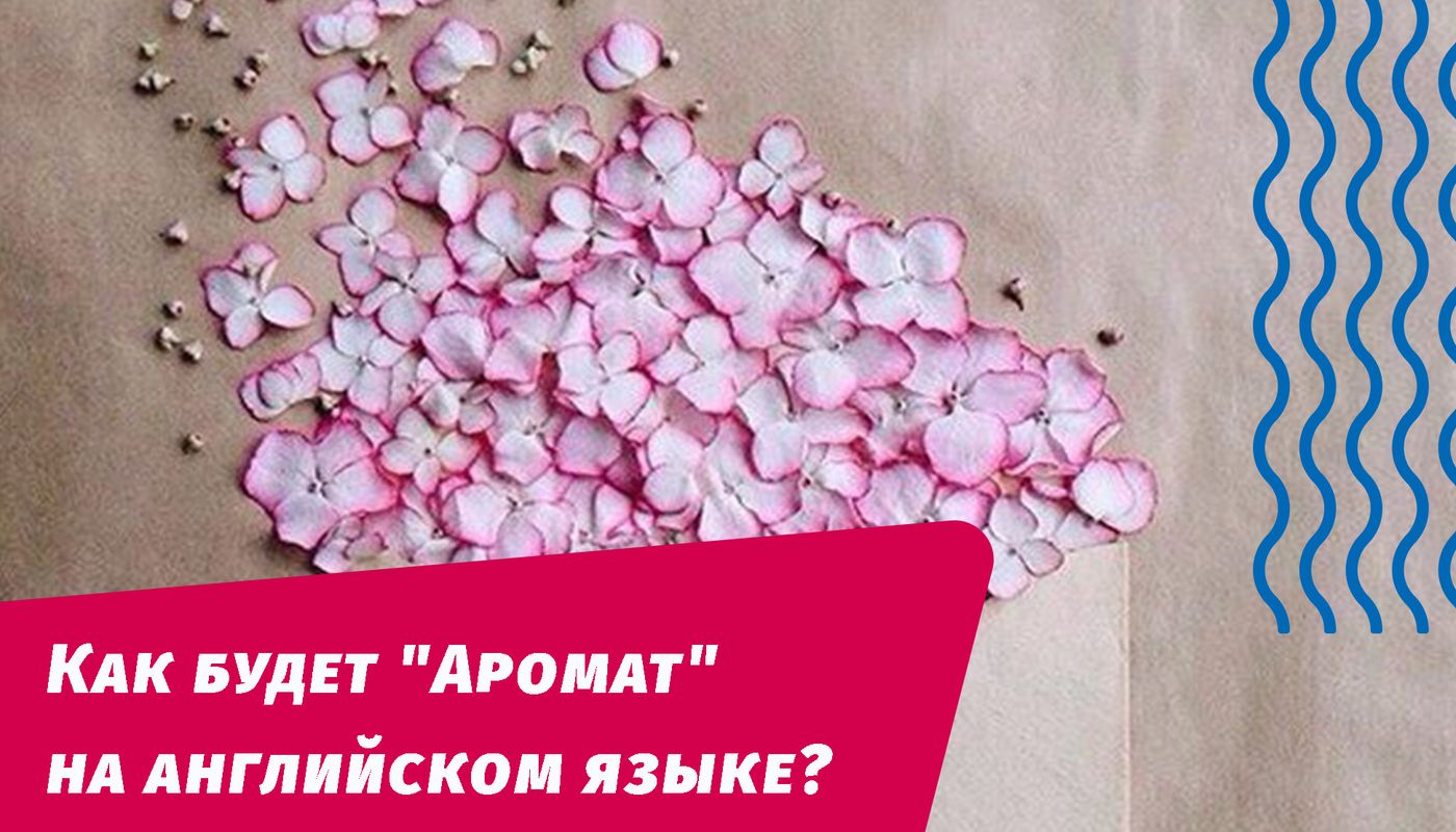 аромат на английском