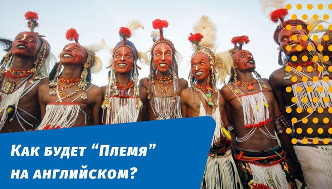 як буде плем'я англійською мовою