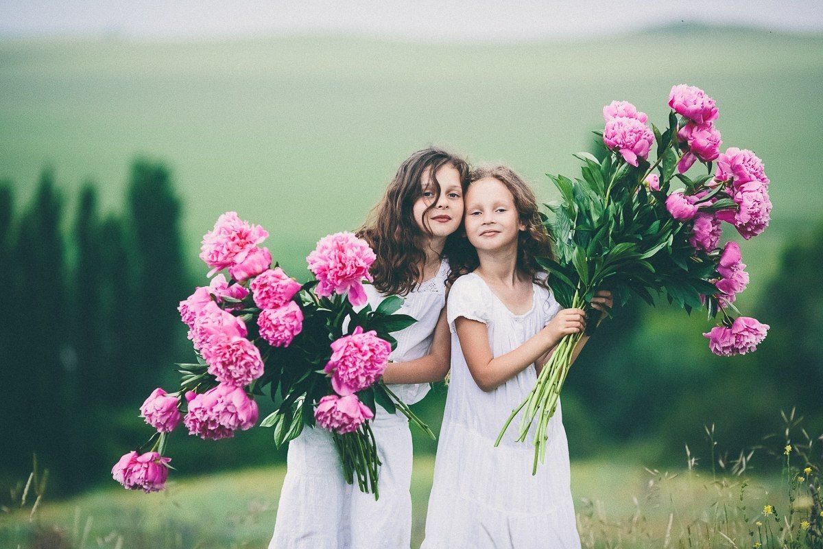 Peony півонія