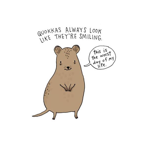 sad animal facts