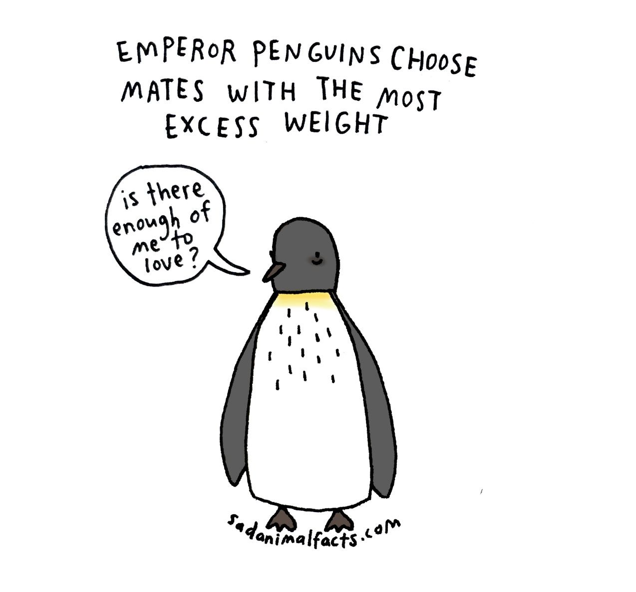 sad animal facts penguins перевод