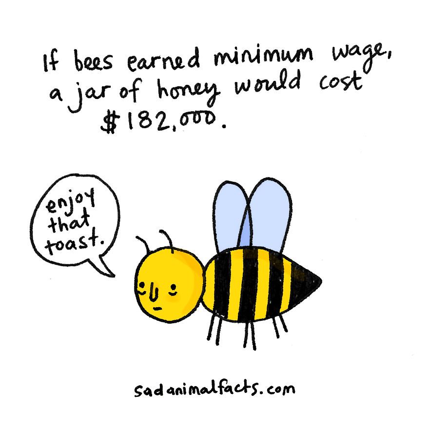 sad animal facts bee перевод