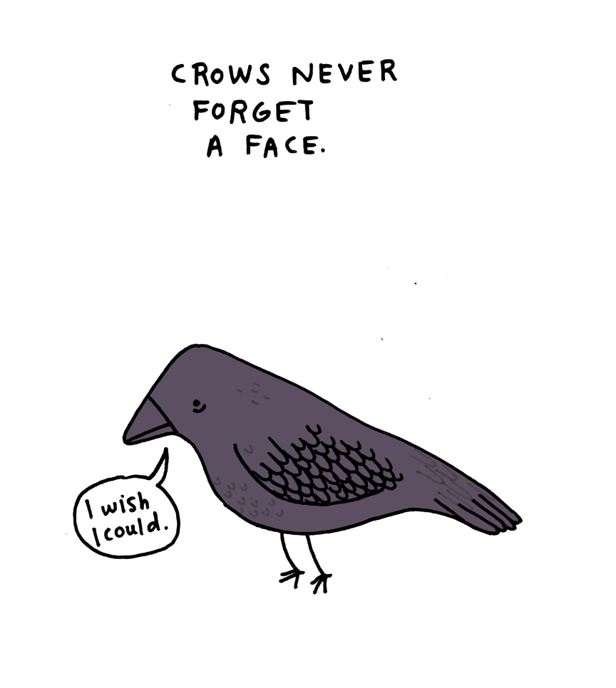 sad animal facts crow перевод