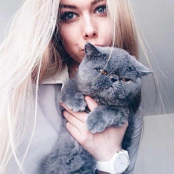 кохання та котики англійською